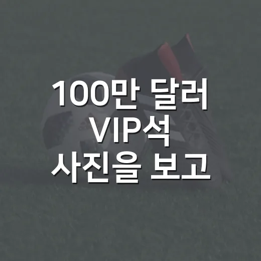100만 달러 VIP석 사진을 보고 다시 보게 된 월드컵 결승의 진짜 시야 이야기 - 요약