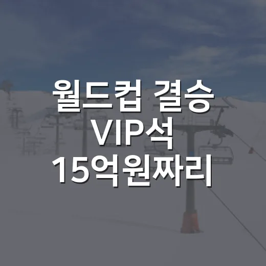 월드컵 결승 VIP석 15억원짜리 시야를 봤더니, 팬들이 웃은 진짜 이유 - 요약