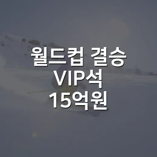월드컵 결승 VIP석 15억원 가격표를 보고 나서 더 씁쓸했던 진짜 이야기 - 요약