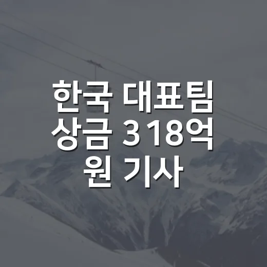 한국 대표팀 상금 318억 원 기사 보고 계산기를 두드려봤더니 - 요약