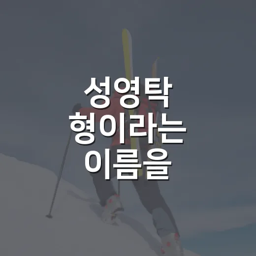 성영탁 형이라는 이름을 기록으로 따라가 봤더니 보이는 이야기 - 요약