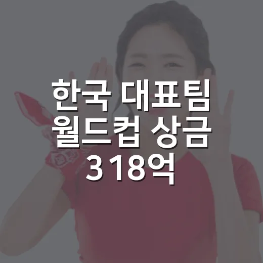 한국 대표팀 월드컵 상금 318억, 숫자를 따라가 봤더니 보인 진짜 이야기 - 요약