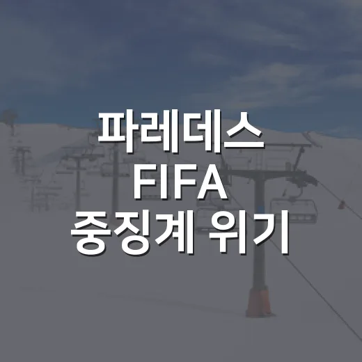 파레데스 FIFA 중징계 위기, 결승전 끝난 뒤 기록지 밖에서 더 커진 이야기 - 요약