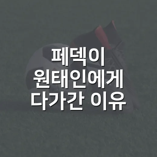 페덱이 원태인에게 다가간 이유, 새 외국인 투수가 먼저 묻기 시작한 진짜 이야기 - 요약