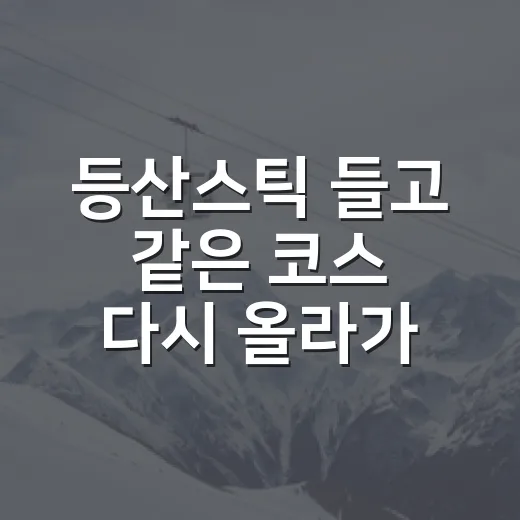 등산스틱 들고 같은 코스 다시 올라가봤더니 기록이 먼저 달라졌다 - 요약