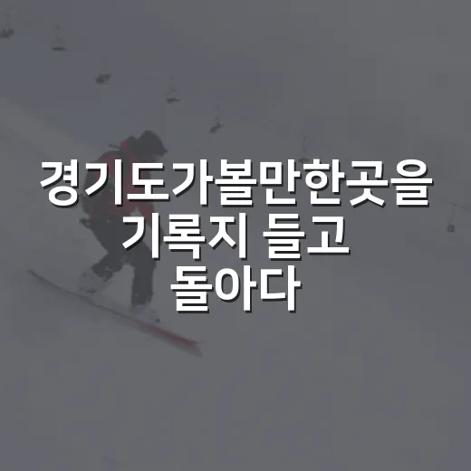 경기도가볼만한곳을 기록지 들고 돌아다녀봤더니 보인 스포츠 여행의 맛 - 요약