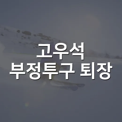 고우석 부정투구 퇴장, 공 하나 던지기 전 벌어진 4분의 진짜 이야기 - 요약
