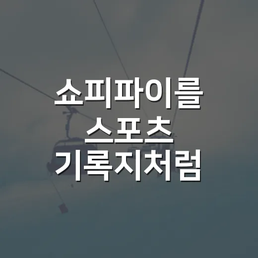 쇼피파이를 스포츠 기록지처럼 들여다봤더니 보인 운영의 진짜 흐름 - 요약