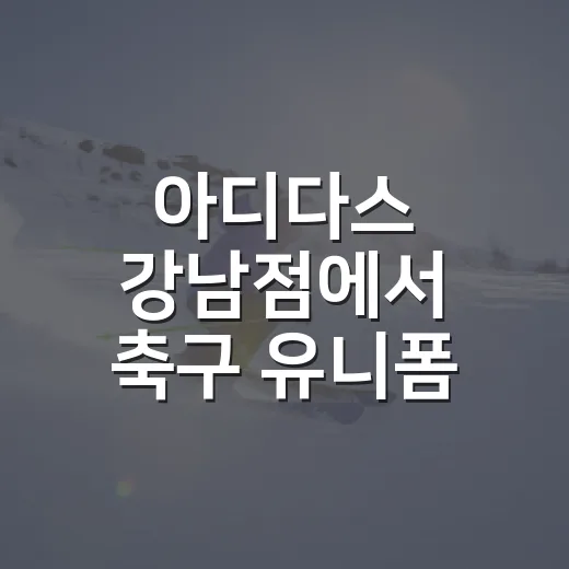 아디다스 강남점에서 축구 유니폼 찾기, 숫자로 보면 더 선명한 쇼핑 후기 - 요약
