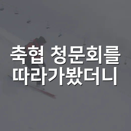축협 청문회를 따라가봤더니, 경기보다 더 오래 남은 숫자들이 보였다 - 요약