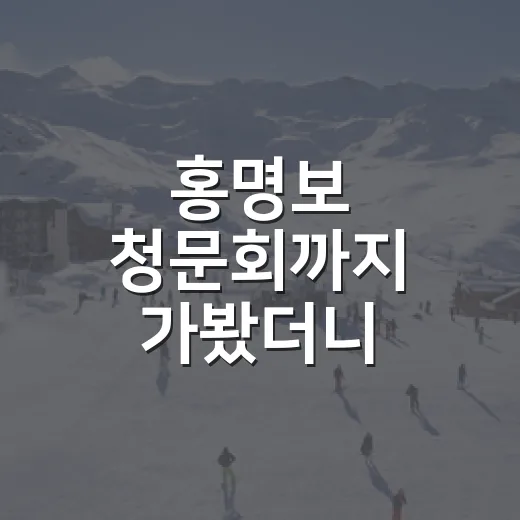 홍명보 청문회까지 가봤더니, 한국 축구의 숫자가 말하지 못한 이야기 - 요약