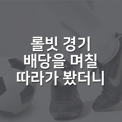 롤빗 경기 배당을 며칠 따라가 봤더니 보인 숫자 뒤의 진짜 흐름 - 요약