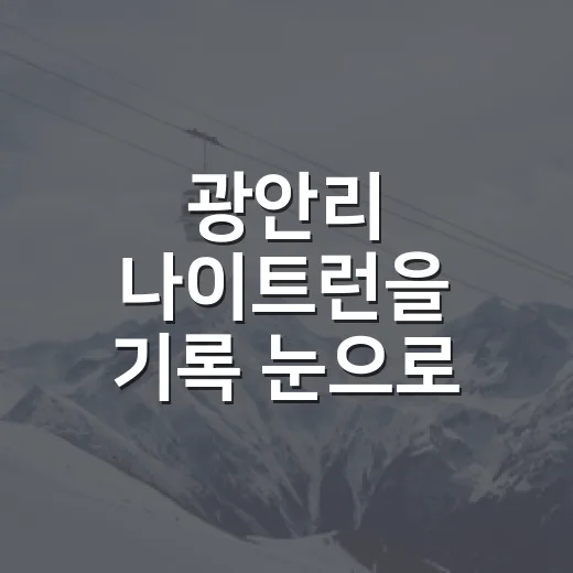 광안리 나이트런을 기록 눈으로 봤더니, 7km 안에 담긴 부산 밤의 페이스 - 요약
