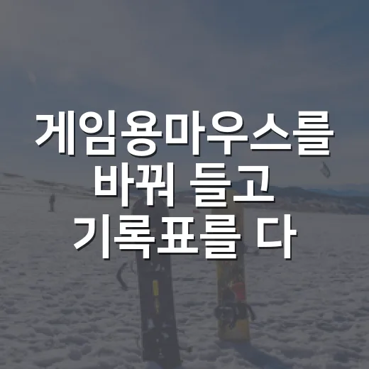 게임용마우스를 바꿔 들고 기록표를 다시 봤더니 생긴 일 - 요약