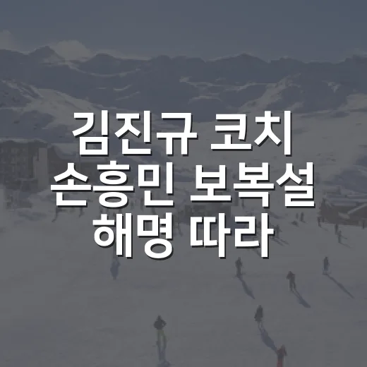 김진규 코치 손흥민 보복설 해명 따라가봤더니, 기록보다 먼저 봐야 할 흐름 - 요약