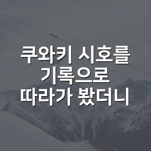 쿠와키 시호를 기록으로 따라가 봤더니, 조용한 상승세가 먼저 보였다 - 요약