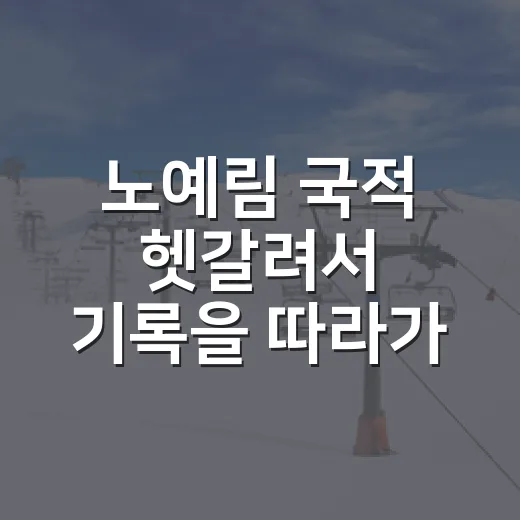 노예림 국적 헷갈려서 기록을 따라가 봤더니 보인 진짜 배경 - 요약