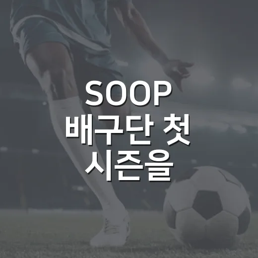 SOOP 배구단 첫 시즌을 기록으로 따라가 봤더니, 난항이 먼저 보였다 - 요약