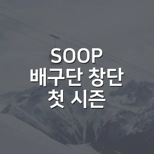 SOOP 배구단 창단 첫 시즌, 숫자를 따라가 봤더니 전망이 꽤 흐릿했다 - 요약