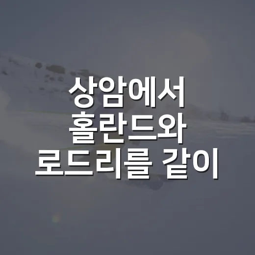 상암에서 홀란드와 로드리를 같이 본다는 것, 맨시티 내한의 진짜 관전 포인트 - 요약