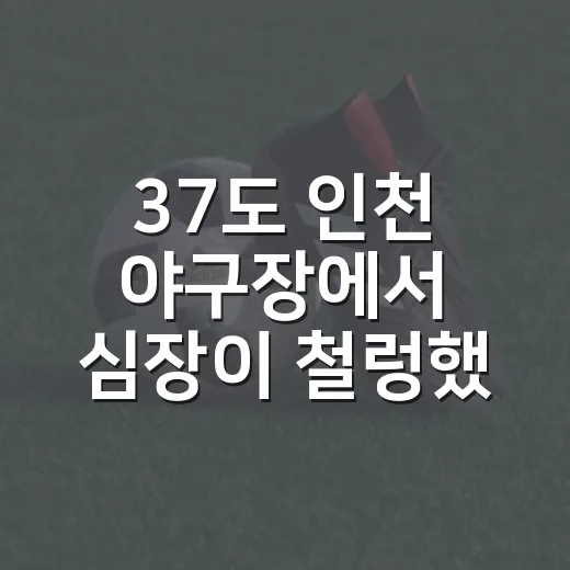 37도 인천 야구장에서 심장이 철렁했던 SSG-LG전의 진짜 이야기 - 요약