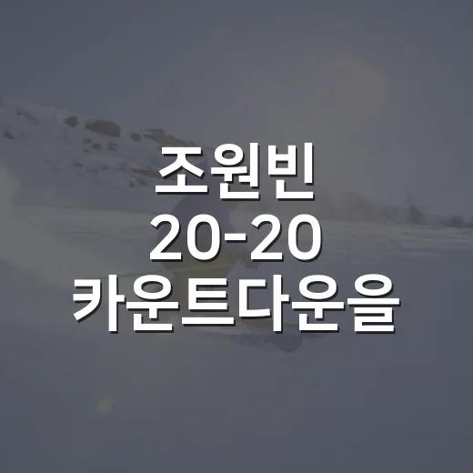 조원빈 20-20 카운트다운을 따라가 봤더니, 숫자보다 먼저 보인 변화 - 요약