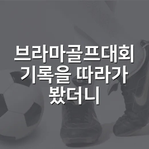 브라마골프대회 기록을 따라가 봤더니 보인 의외의 승부 흐름 - 요약