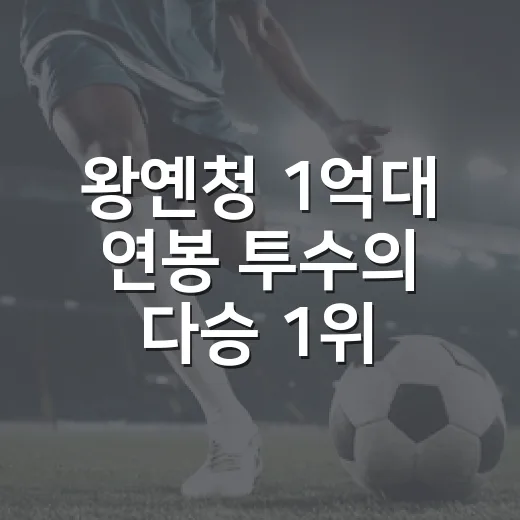 왕옌청 1억대 연봉 투수의 다승 1위 질주를 따라가봤더니 - 요약