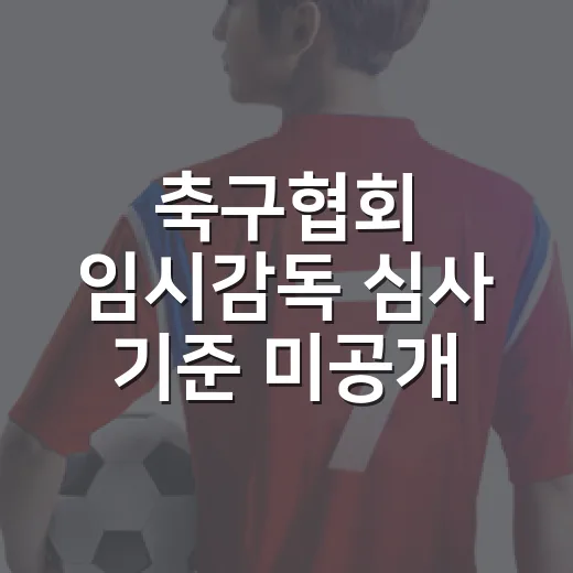 축구협회 임시감독 심사 기준 미공개, 기록으로 따라가보니 더 찜찜했던 이유 - 요약