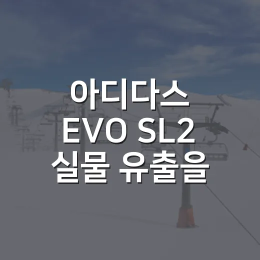 아디다스 EVO SL2 실물 유출을 따라가 봤더니, 출시일보다 먼저 보이는 흐름 - 요약
