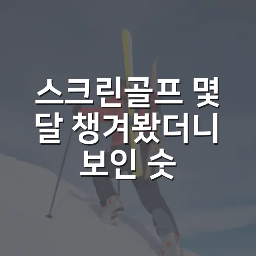 스크린골프 몇 달 챙겨봤더니 보인 숫자 뒤의 진짜 흐름 - 요약