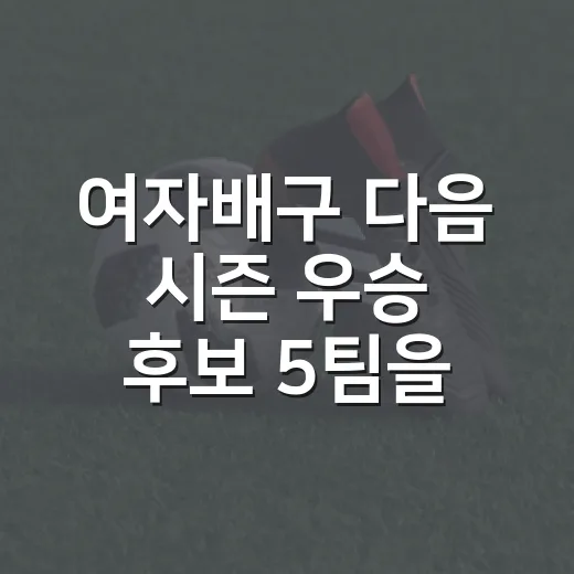 여자배구 다음 시즌 우승 후보 5팀을 기록으로 다시 줄 세워봤더니 - 요약