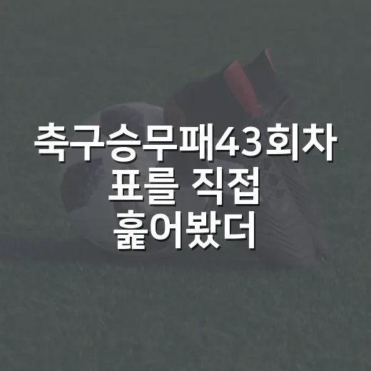 축구승무패43회차 표를 직접 훑어봤더니 보인 흐름의 진짜 이야기 - 요약