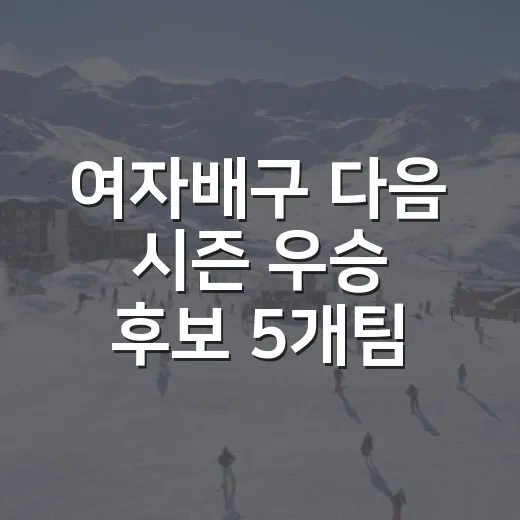 여자배구 다음 시즌 우승 후보 5개팀을 기록으로 골라봤더니 - 요약