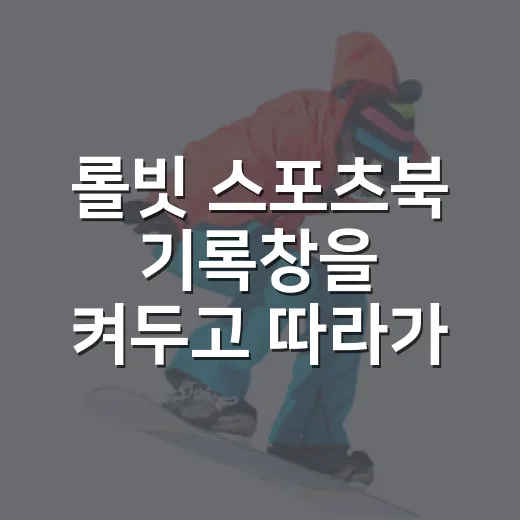롤빗 스포츠북 기록창을 켜두고 따라가 봤더니 보인 진짜 이야기 - 요약