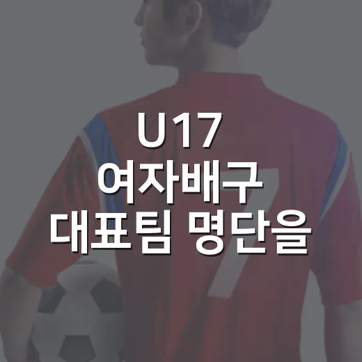 U17 여자배구 대표팀 명단을 봤더니, 손서연만 보이는 팀이 아니었다 - 요약