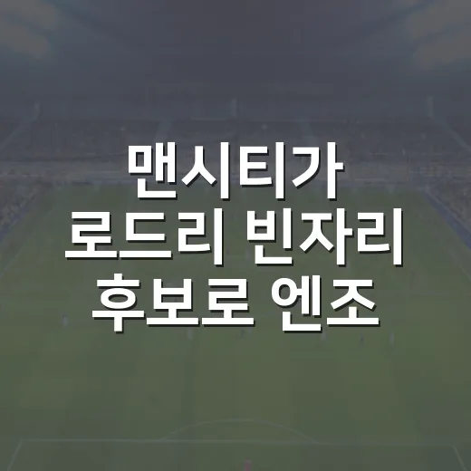 맨시티가 로드리 빈자리 후보로 엔조 페르난데스를 본다는 얘기를 따라가봤더니 - 요약