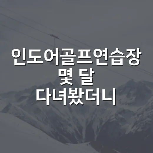 인도어골프연습장 몇 달 다녀봤더니, 스코어보다 먼저 보인 숫자들 - 요약