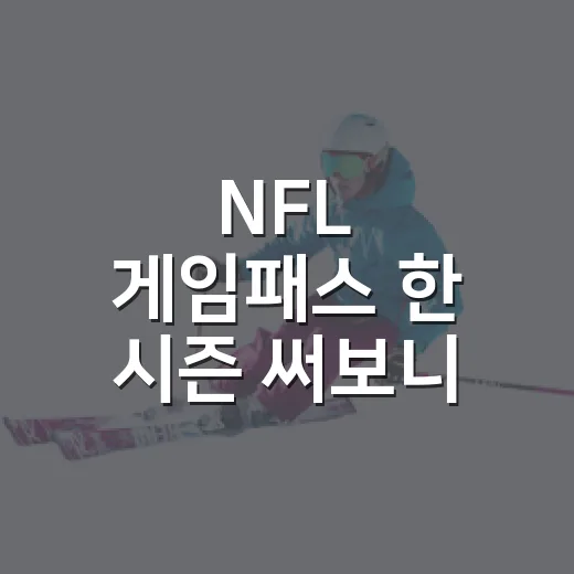 NFL 게임패스 한 시즌 써보니, 기록 덕후에게 진짜 남는 장면들 - 요약
