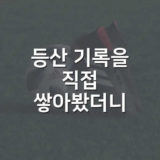 등산 기록을 직접 쌓아봤더니, 정상보다 숫자가 먼저 보였다 - 요약