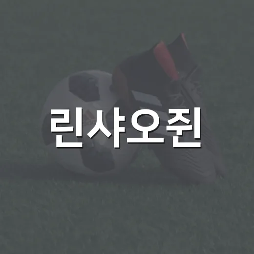 린샤오쥔, 8년간 포기하지 않았다가 기록으로 남긴 진짜 이야기 - 요약