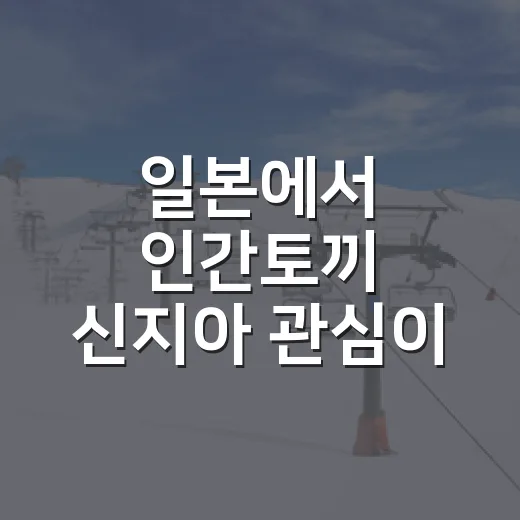 일본에서 인간토끼 신지아 관심이 터진 뒤 기록을 다시 봤더니 - 요약