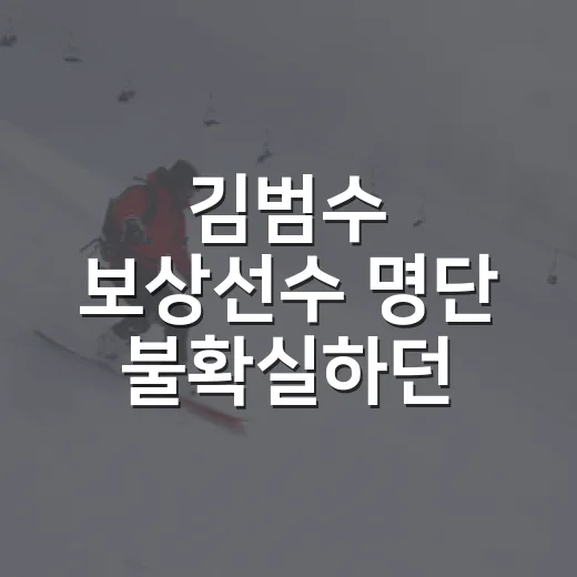김범수 보상선수 명단 불확실하던 며칠, 숫자로 따라가 보니 보인 것들 - 요약