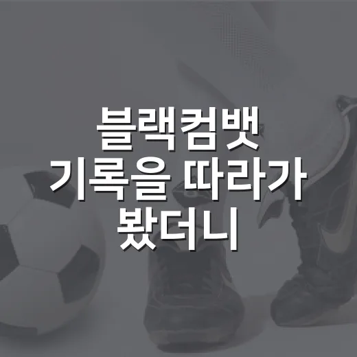 블랙컴뱃 기록을 따라가 봤더니, 한국 MMA 판이 꽤 다르게 보였다 - 요약