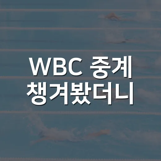 WBC 중계 챙겨봤더니, 점수보다 흐름이 먼저 보였다 - 요약