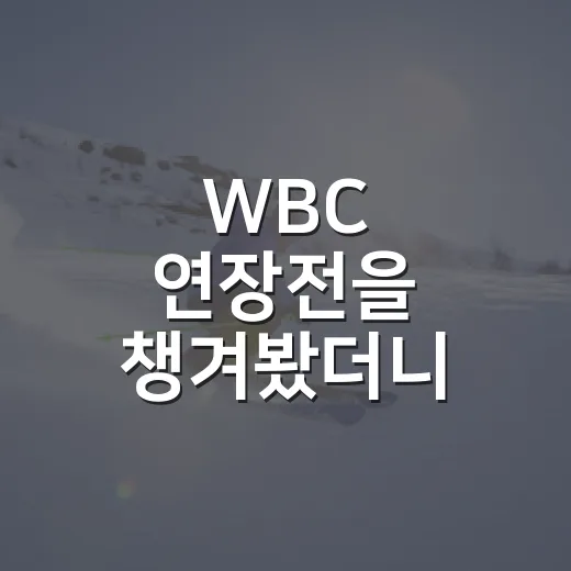 WBC 연장전을 챙겨봤더니, 숫자보다 먼저 보이는 감독의 속내 - 요약