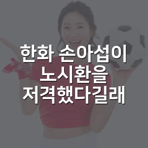 한화 손아섭이 노시환을 저격했다길래 기록까지 따라가 봤더니