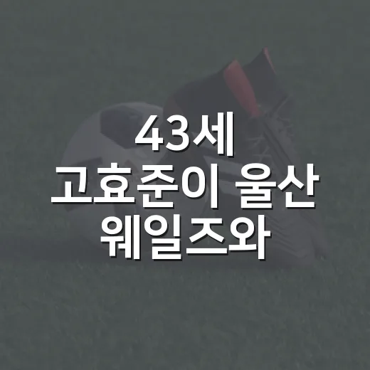 43세 고효준이 울산 웨일즈와 계약한 뒤 남긴 숫자들, 낭만보다 더 진했던 기록의 이야기