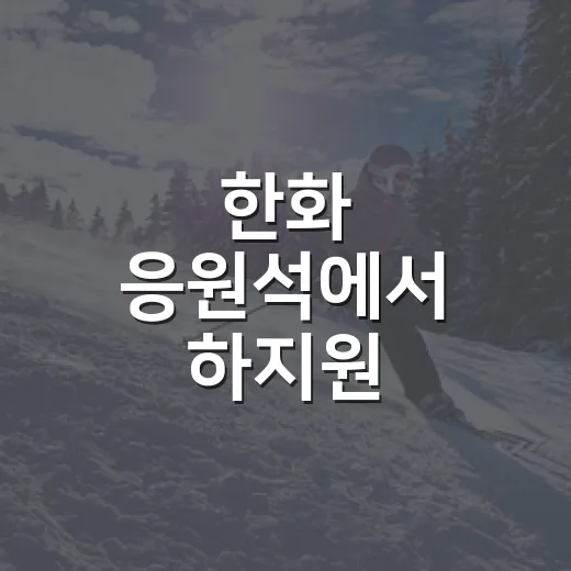 한화 응원석에서 하지원 치어리더를 따라가 봤더니 보인 진짜 프로필 - 요약