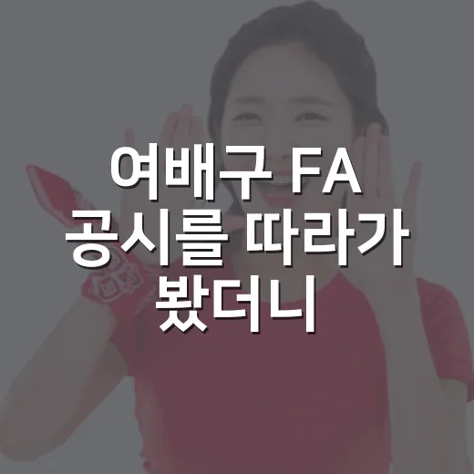 여배구 FA 공시를 따라가 봤더니, 현대건설은 진짜 큰손이었나 - 요약
